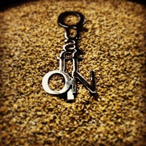 1509936_567890786627668_1708539538_n